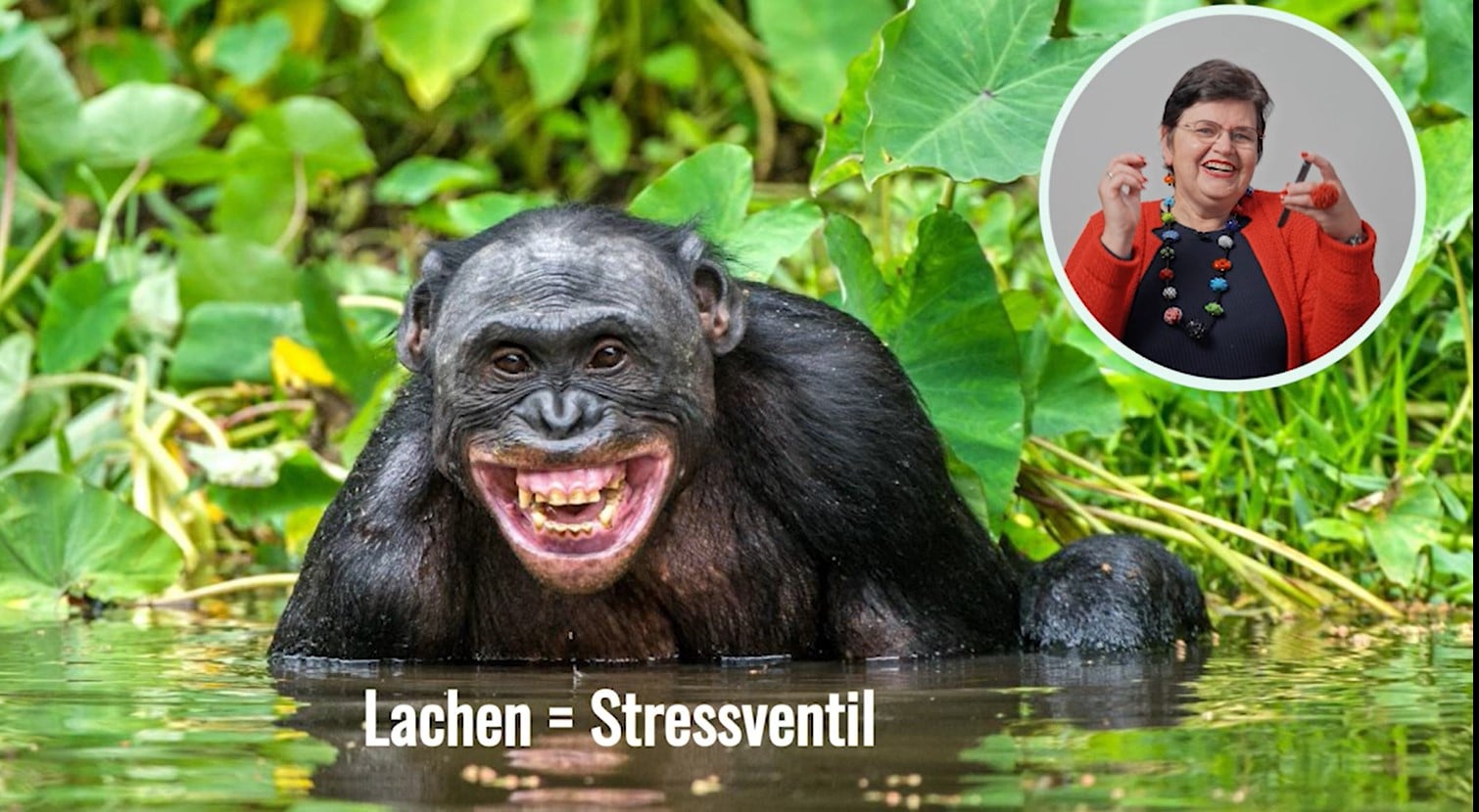 Lachen = Stressventil Lachen = Stressventil