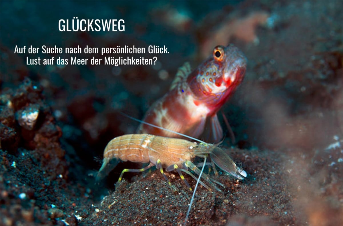 Knallkrebs-Grundl-Gluecksweg-1200×792 Knallkrebs