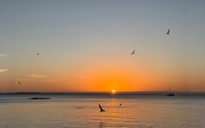 Warum Gelassenheit das beste Geschenk ist
