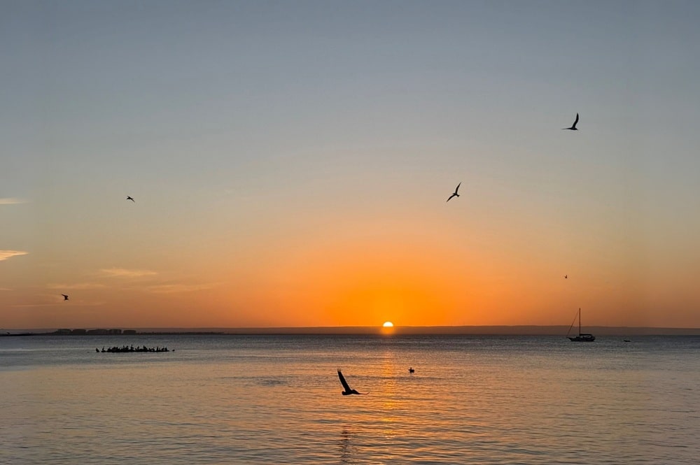 Monika Herbstrith-Lappe Gelassenheit Leichtigkeit