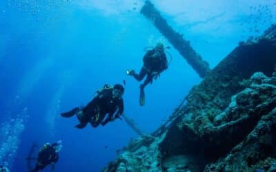 Zuversicht – der Erfolgsfaktor, der Zukunft gestaltet